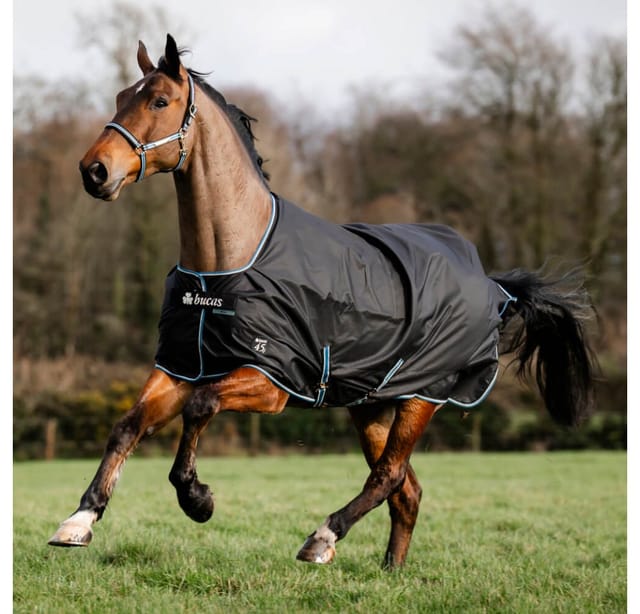 Bucas Pferde-Regendecke Bucas Anniversary Turnout Light SD 0g