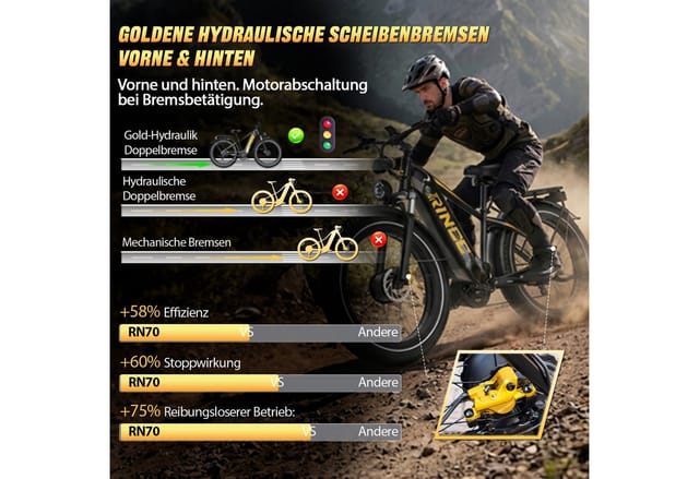 Rincc E-Bike Dual-Motor 130 Nm, 48V 20Ah bis 120 km, Hydraulikbremsen, 20 Wh