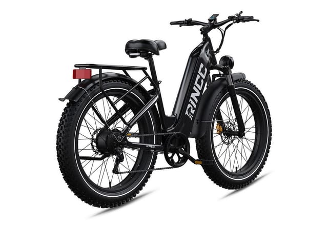 Rincc E-Bike 48V 20Ah bis 120 km, Alurahmen, Hydraulikbremsen, Farb-LCD, 20 Wh
