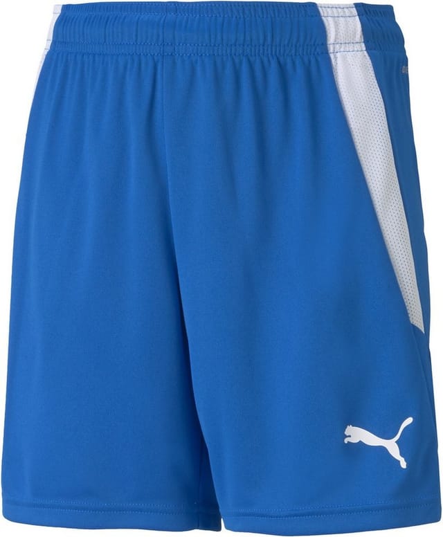 PUMA Sporthose TeamLIGA Shorts Jr