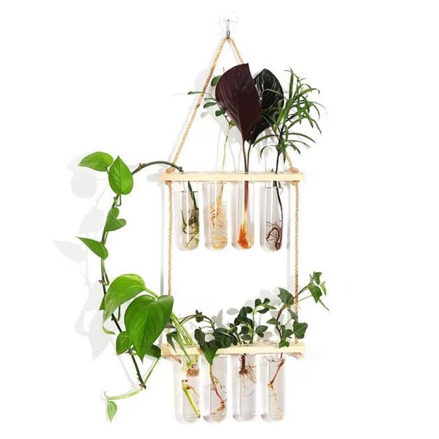 Tubes Propagation Plantes Terrarium Mural - Support Bois 2 Niveaux, Décoration Maison/bureau
