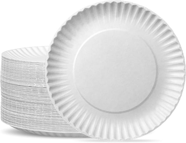 Lot De Cinq Cents Plateaux En Papier Blanc Non Enduit Jetables Vingt Trois Centimètres Pour Service Alimentaire