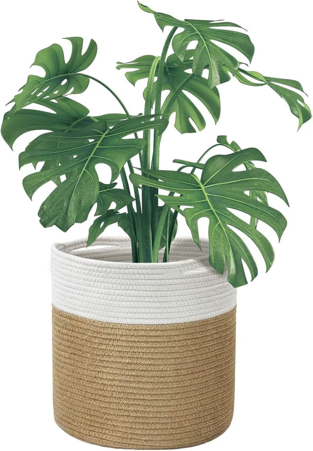 Cache Pot En Osier Tressé Avec Anse Pour Plantes D Intérieur Panier De Rangement En Corde De Coton Pour Fleurs Et Décoration Végétale Design