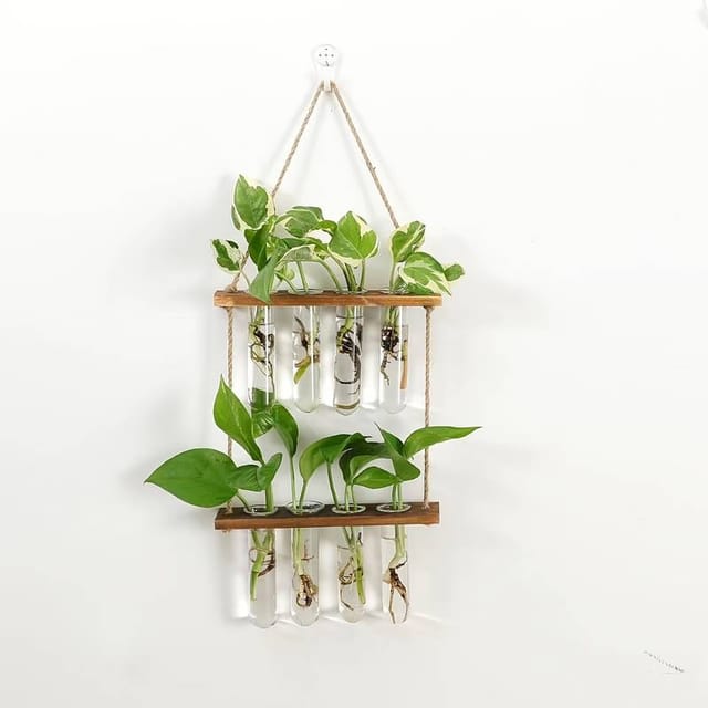 Mini Vase Tube À Essai Hydroponique - Pour Bouturage, Décoration Jardin Et Cadeau Plante