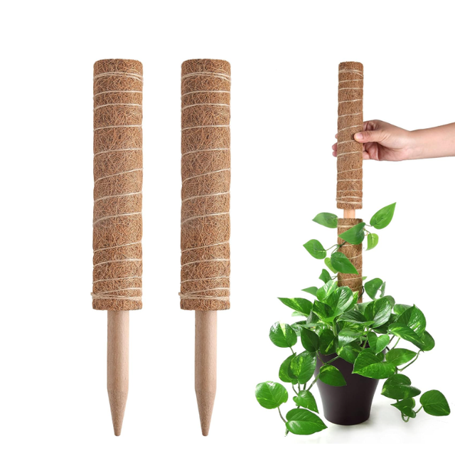Tuteur En Mousse Pour Plantes Monstera, Support Extensible Pour Plantes, Tuteurs Pour Plantes D'Intérieur En Pot, 40 Cm