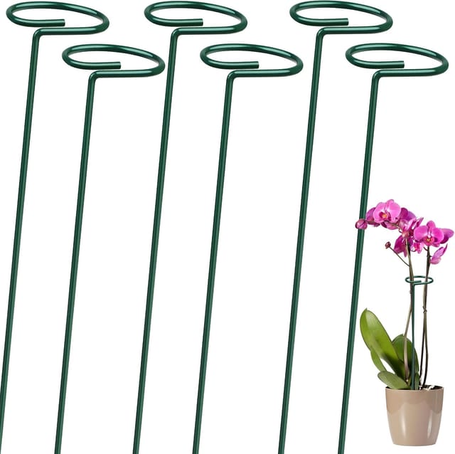 Tuteurs Pour Plantes, Supports Métalliques, Tuteurs Pour Plantes De Jardin Et Fleurs D'Extérieur