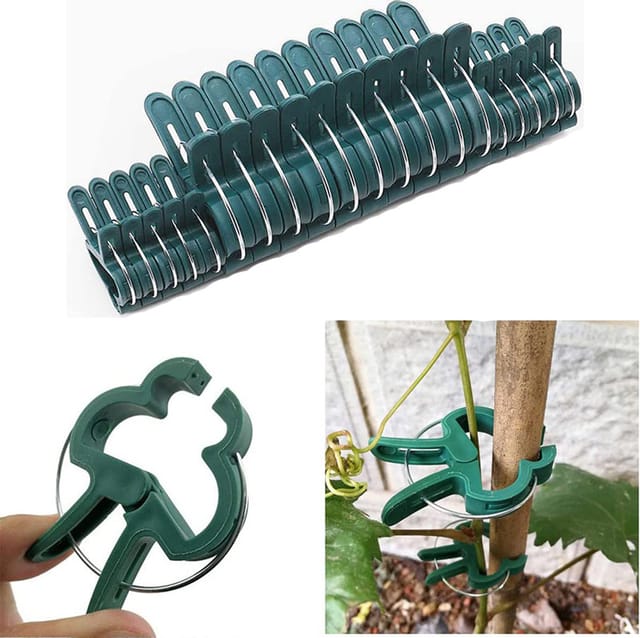Lot 100 Clips Fixation Plantes Grimpantes - Supports De Plantation Et Fixation Jardin