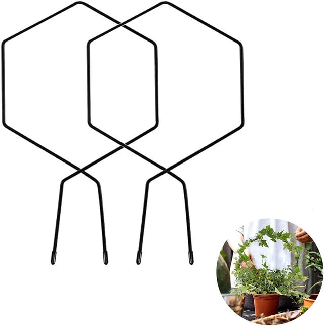 Tuteur Hexagonal Pour Plantes Grimpantes, Idéal Pour Les Tomates Et Les Plantes En Pot. Support Hexagonal Pour Plantes Grimpantes Miniatures. Utilisation Intérieure Et Extérieure. Lot De 2.