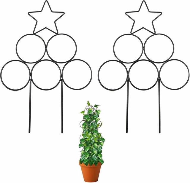 Lot De 2 Supports Métalliques Pour Plantes Grimpantes, Tuteurs En Fer Forgé Pour Pots Et Jardinières, Décoration Végétale Intérieure
