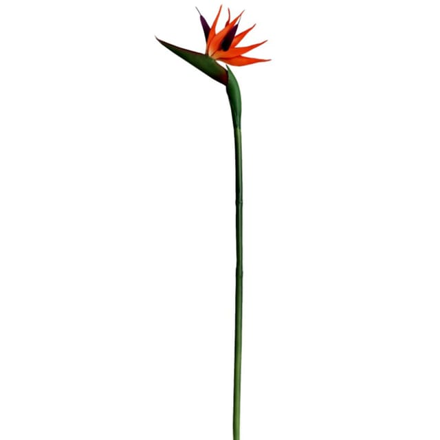 Set Mit 3 Künstlichen Strelitzien (strelitzia Reginae), 55 Cm, Aus Kunststoff, Künstliche Paradiesvogelblumen Für Heim-, Hochzeits- Und Fotodekorationen