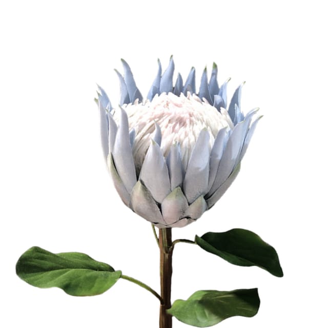 Hochrealistische Künstliche Seidenblume In Bester Qualität Für Hochzeiten, Partys, Heimdekoration Und Als Foto-requisite