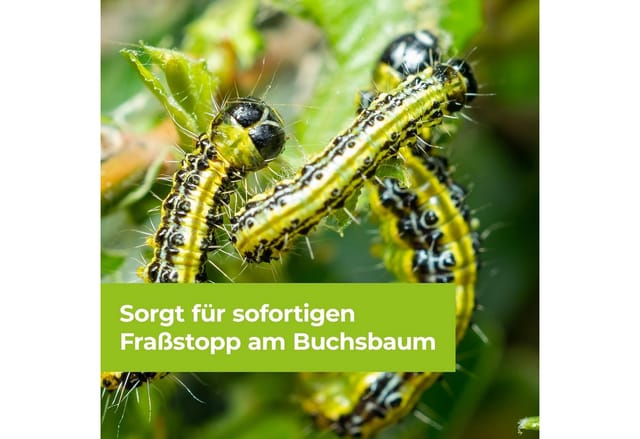 Protect Garden Insektenspray Protect Garden DeltaX Schädlingsfrei AF 1 Liter