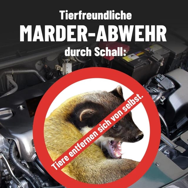 Un Appareil À Ultrasons Pour Animaux Sous Le Capot, Alimentation 12 V, Protège Le Moteur, Éloigne Les Martres Et Rongeurs