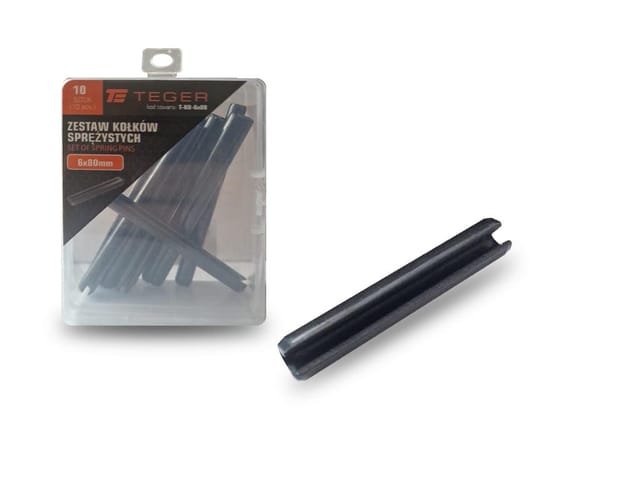 Teger Federstift 6x80, 10 Stück