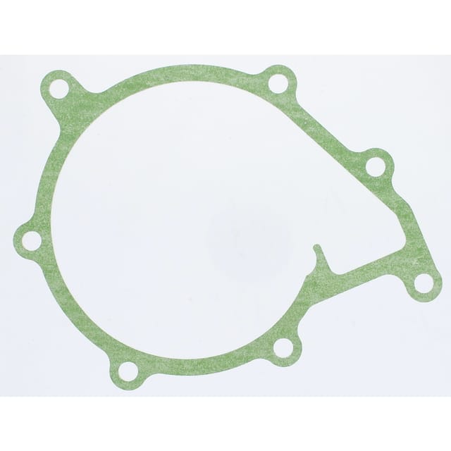 Fendt Xylon Wasserpumpendichtung F524200610010