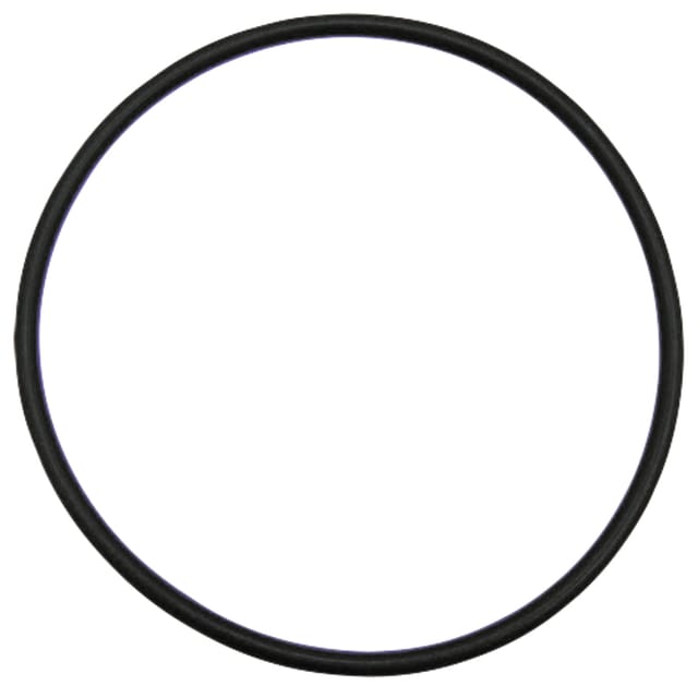 O-ring Fendt 93 Mm 71806168 Granite X548977501000