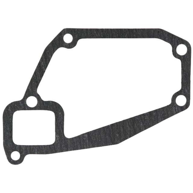 Wasserpumpendichtung Massey Landini 4224302m1