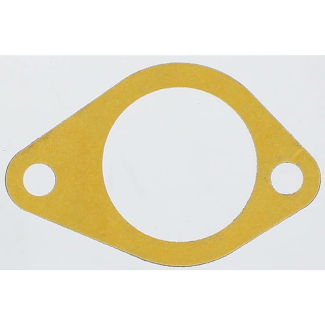 Thermostatdichtung Case Steyr 132000060720