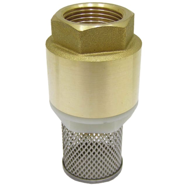 Rückschlagventil Mit Saugkorb, Feder, 1 1/4" Zoll