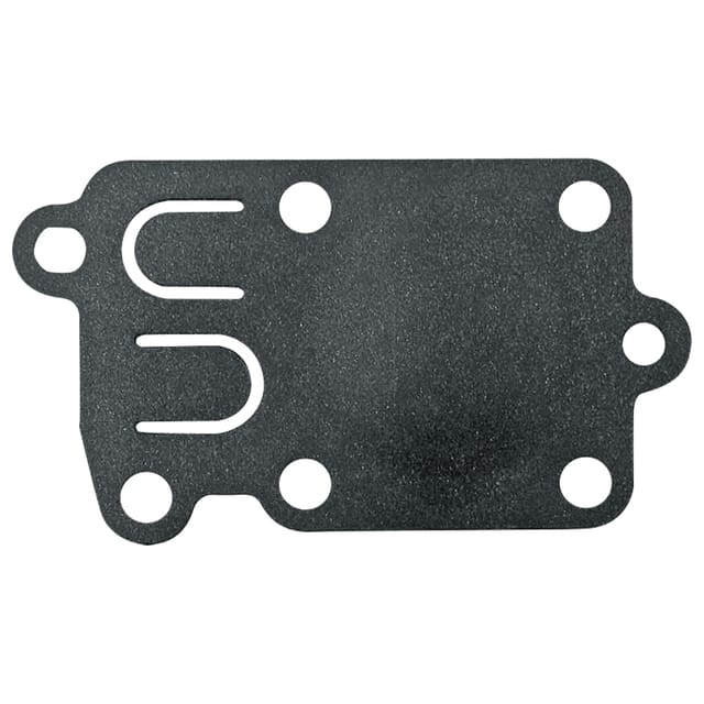 Membran Für Plus-jet Briggs Stratton 272538s 272538 4168
