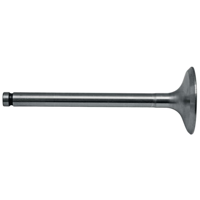 Einlassventil 38015619 Granite 739027m1 31431641 31431315