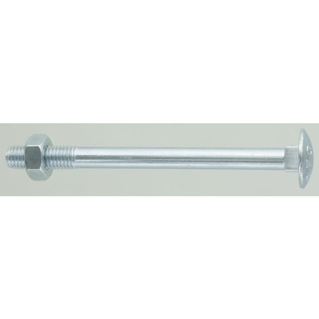 Verzinkte Schlossschrauben Din 603 M10 10x120 Mm, 25 Stück