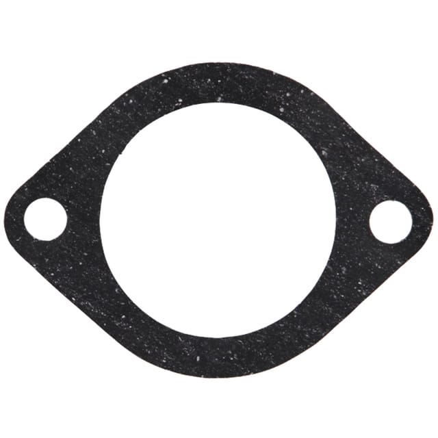 Thermostatdichtung Case Steyr 132000060712