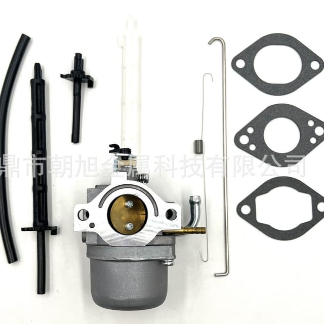 Briggs & Stratton 796122 794593 793161 696737 Vergaser