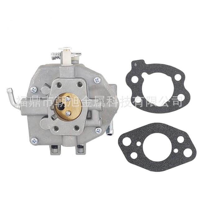 Briggs & Stratton Rasenmäher-vergaser 808249 809008 807832 807936 294442 294447