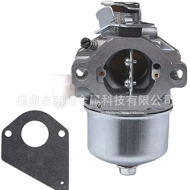 Briggs & Stratton Vergaser 494883 495778 497581 495782
