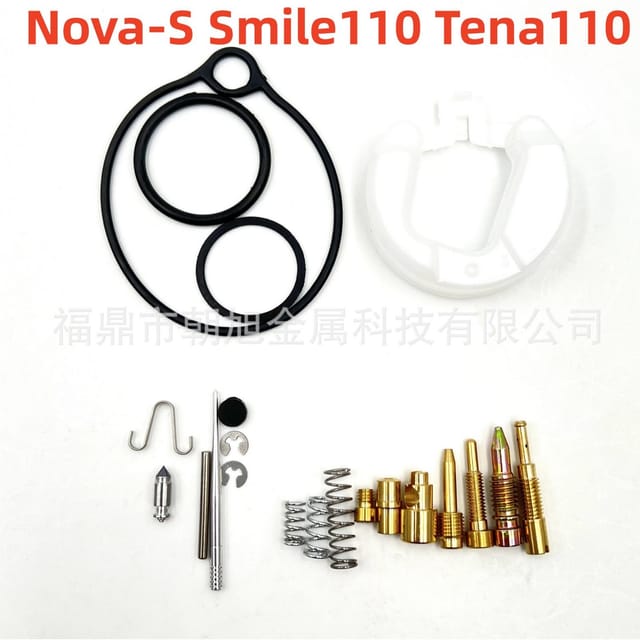Vergaser-reparatursatz Kompatibel Mit Nova S Smile110 Tena110 Cela110