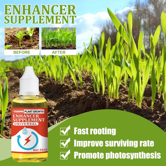 Pflanzennährlösung – Konzentrierter Dünger Für Pflanzen, Blumen, Obst, Gemüse Und Topfpflanzen – 50 Ml