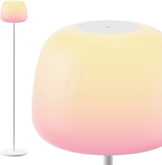 GOVEE R1630C01 - Smart Light, Stehleuchte, 24 W, RGBICWW
