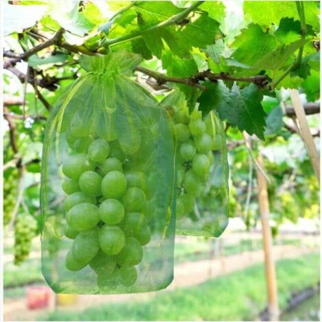 100 Schutzbeutel Für Weintrauben, Maße: 30 X 20 Cm, Farbe: Grün, Mit Kordelzugverschluss, Vollständiger Schutz Vor Wespen Und Vögeln, Material: Organza