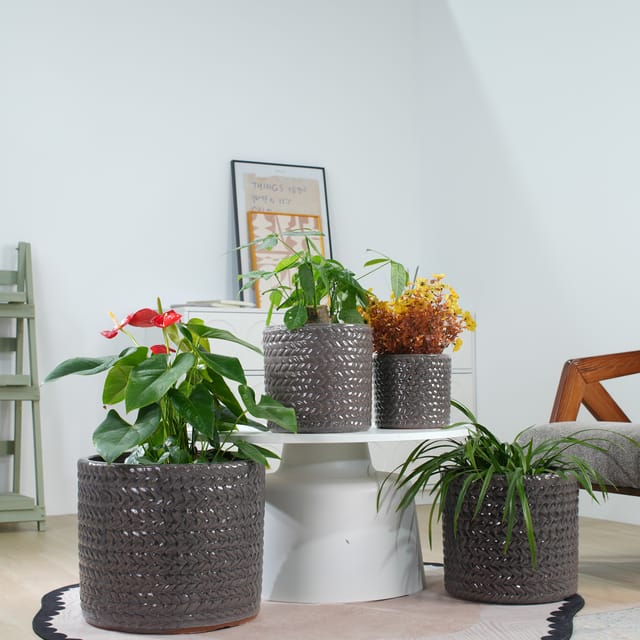 Keramik-blumentopf Ø 24,5 Cm, Glänzend Grau, Chevron-relief, Drainageloch