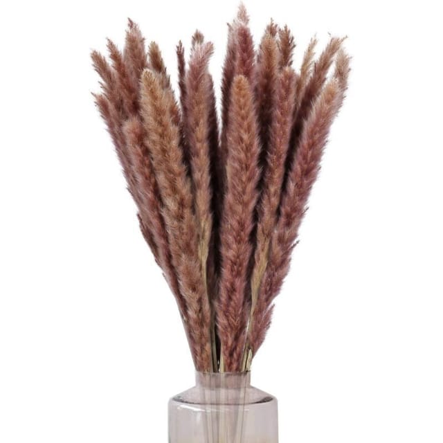 Fliti Getrockneter Pampasgras-strauß – 30 Stück, 60 Cm Lange Stiele, Naturbraune Farbe, Ideal Für Die Innendekoration, Hochzeiten Und Balkone