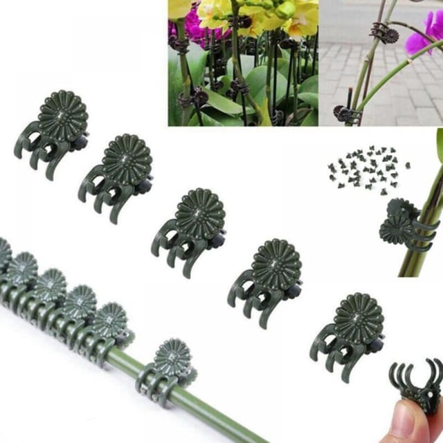 Fliti Kletterpflanzenclips  – 100er-packung Aus Robustem Kunststoff, Ideal Für Tomaten, Orchideen Und Blumen
