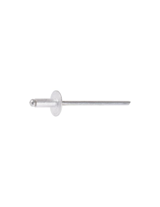Rivet Aveu.ag5 Tl 4,8x24 / 250