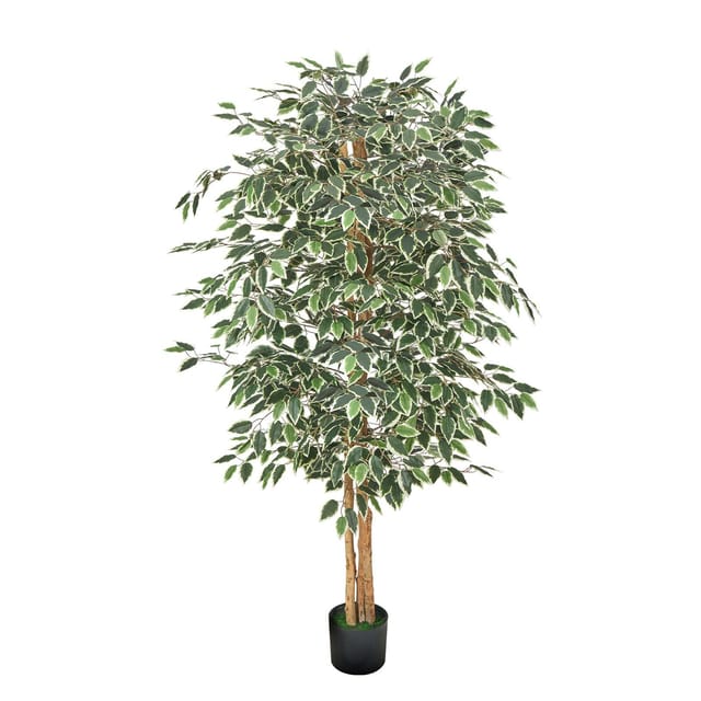 Künstlicher Ficus, 180 Cm, Mit Schwarzem Topf, Hochwertige Künstliche Pflanze Mit Natürlichem Holzstamm Und Realistischen Grünen Blättern Für