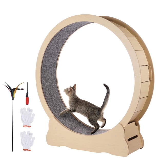 Laufband Für Katzen Aus Holz, 52 Cm, Indoor-laufband Mit Abnehmbarer Matte Und Trainingsspielzeug