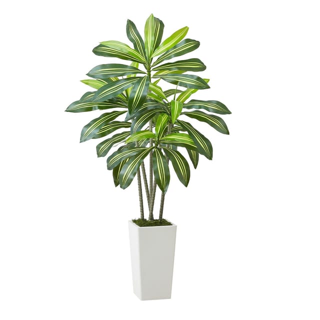 Künstliche Dracaena, 1524 Mm, Tropische Pflanze Im Weißen Topf, Schöne Dekoration Für Den Innen- Und Außenbereich, Büro Und Wohnzimmer