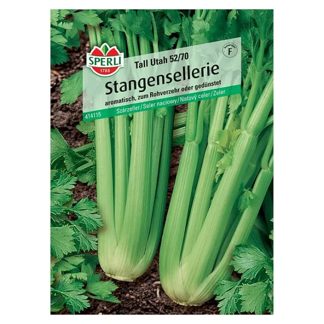 Sperli Saatgut Stangensellerie Tall Utah 52/70 für ca. 250 Pflanzen