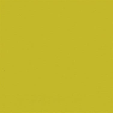 Duni Servietten Bio kiwi 33 x 33 cm - 50er Pack