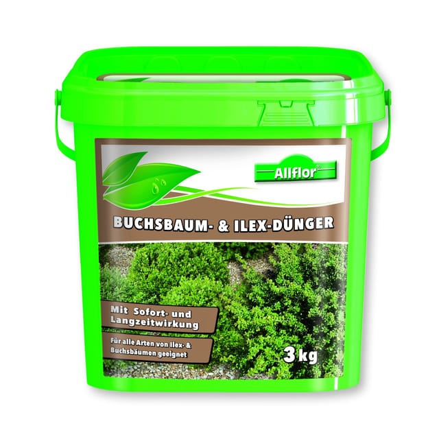 Allflor Buchsbaum- Ilex Dünger 3 kg Eimer