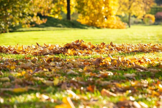 Allflor Herbst-Rasendünger 10 kg