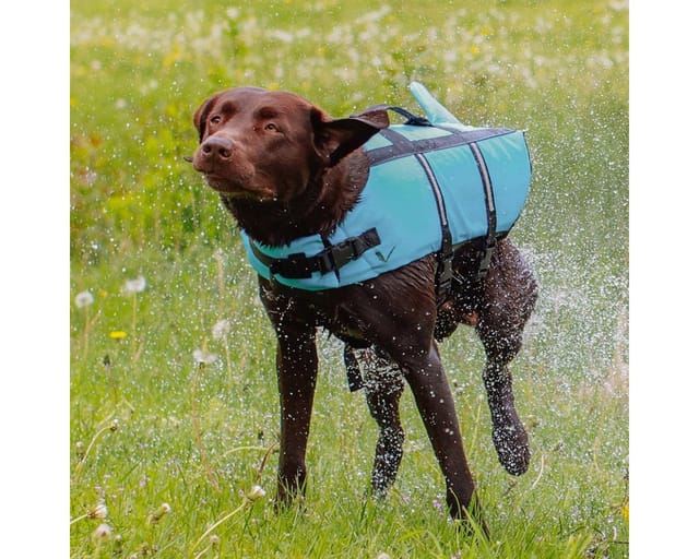 Nobby Hunde Schwimmweste Sharki mit Haiflosse hellblau
