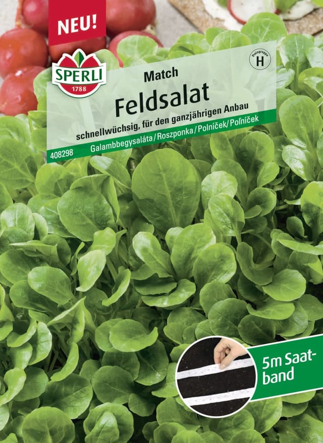 Sperli Saatgut Feldsalat Match für ca. 4 – 7,5 m²