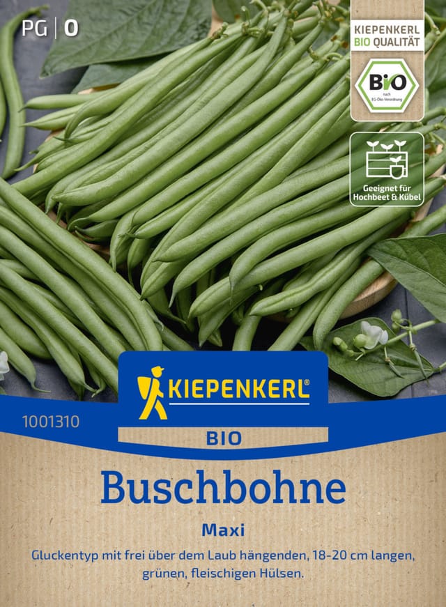 Kiepenkerl Saatgut BIO Buschbohnen Maxi für ca. 5 - 7 m²
