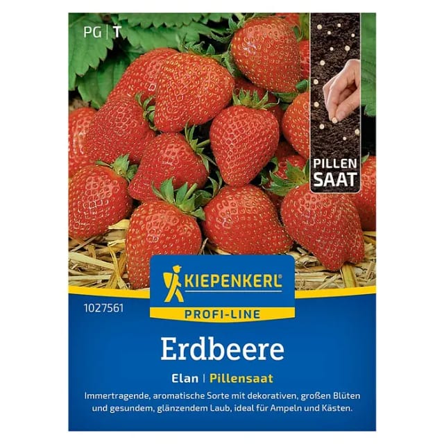 Kiepenkerl Profi-Line Saatgut Erdbeere Elan F1 Pillensaat für ca. 6 Pflanzen