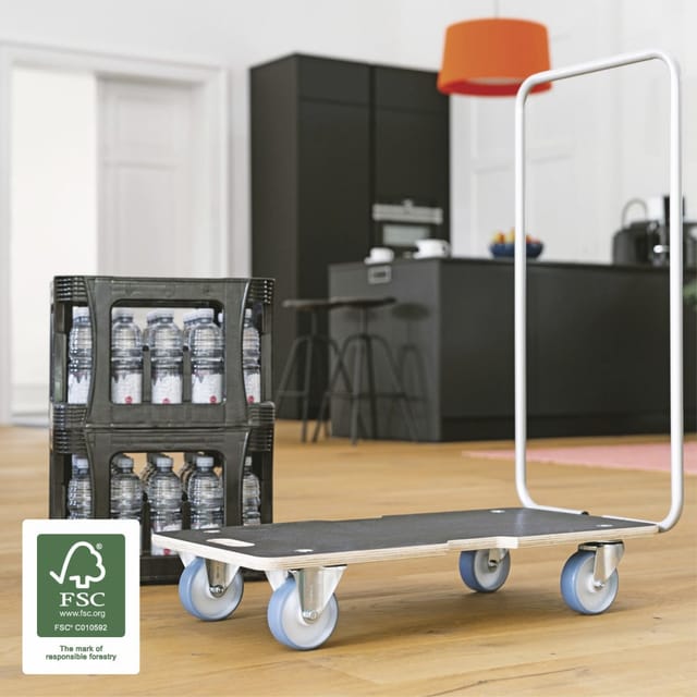Wagner Transportwagen 74 x 37 cm Traglast 300 kg klappbar